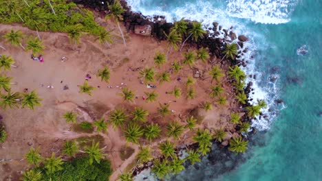 colina de cocoteros en la playa de mirissa, sri lanka - vista aérea de drones de arriba hacia abajo