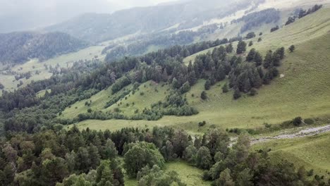 mountainous landscape with forest and river