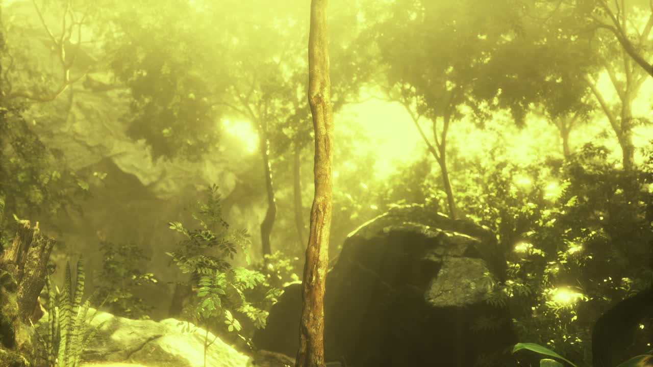 Sunlit forest with tall trees amid lush greenery in tranquility