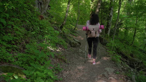 mujer caminando en un bosque
