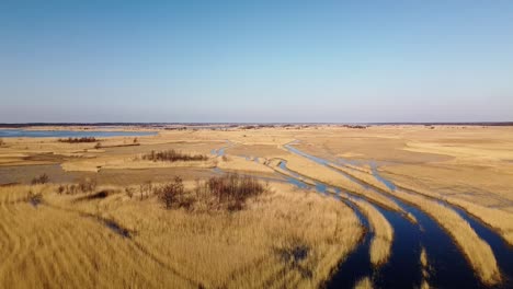 Luftaufnahme-Des-Mit-Braunem-Schilf-Bewachsenen-Sees,-Naturpark-Pape-see,-Rucava,-Lettland,-Sonniger-Frühlingstag,-Weitwinkel-drohnenschuss,-Der-Sich-Vorwärts-Bewegt