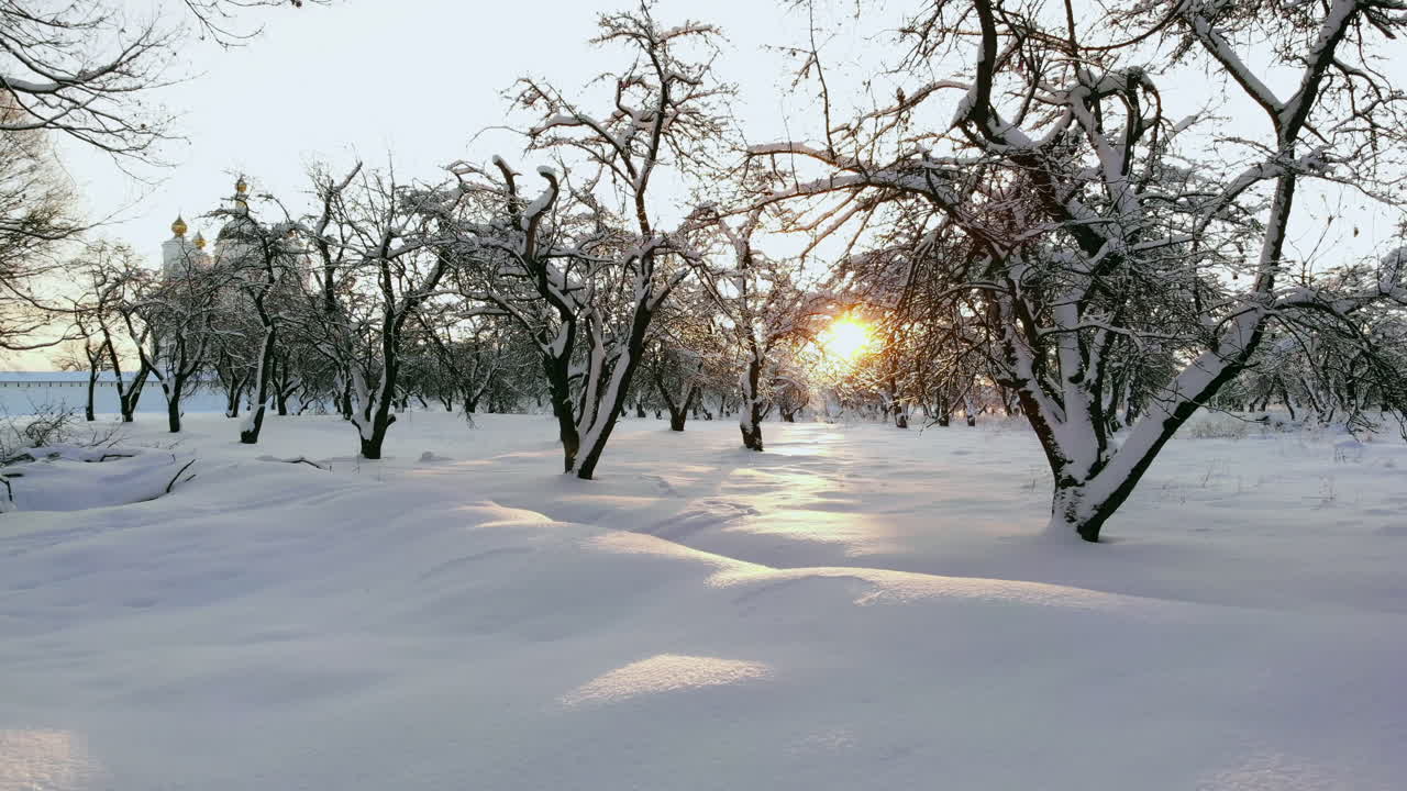 겨울철 북극권 위 핀란드 라플란드 숲의 드론 영상
