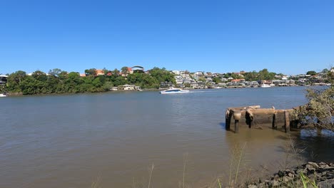 brisbane river from powerhouse boardwalk with citycat