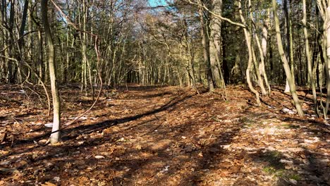 A-point-of-view-of-hiking-through-the-trail