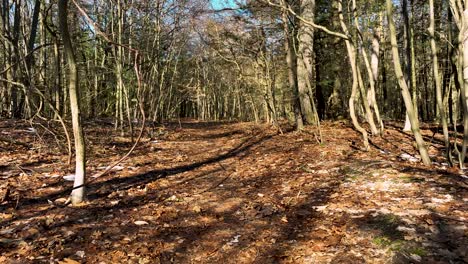 a point of view of hiking through the trail