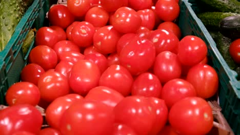 beautiful red tomatoes in the supermarket are on sale, natural products, slow motion