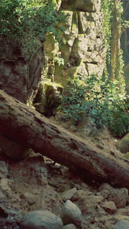 lush woodland clearing with smooth stones and fallen logs in daylight