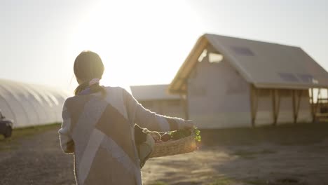 rear view of a woman walking by farm, carrying fresh vegetables or plants just picked