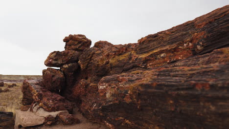 Giant-wood-log-at-Petrified-Forest-National-Park-in-Arizona,-moving-pan-shot