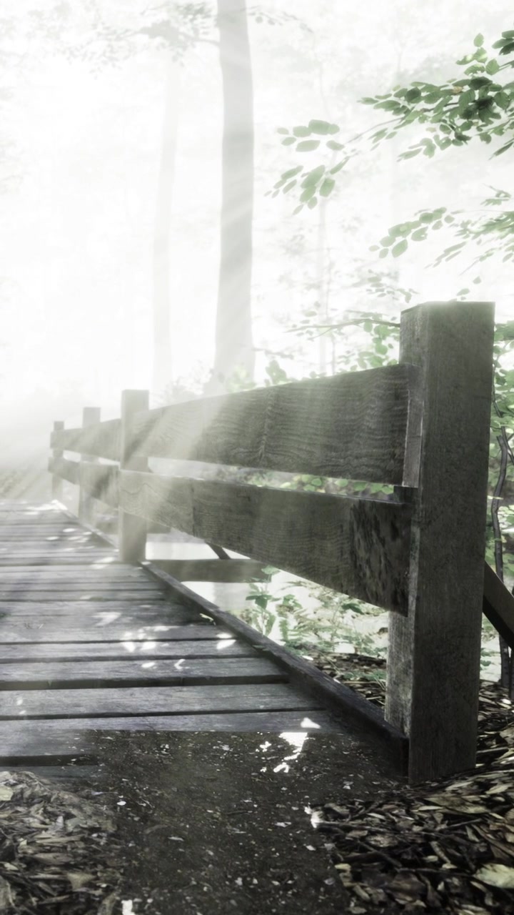 Wooden bridge in a forest with fog in the early morning light