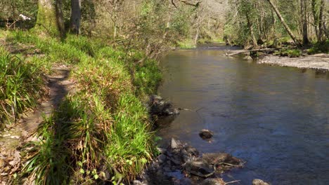 Süßwasser,-Das-Den-Fluss-Teign-Im-Nationalpark-Dartmoor-Hinunterfließt