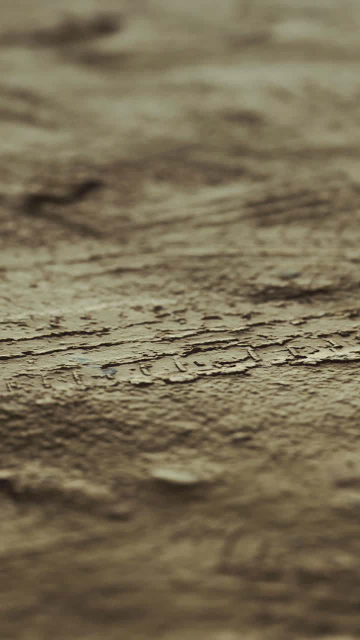 Detailed texture of a brown surface with intricate patterns and lines