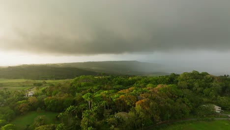 Nubes-De-Tormenta-Flotando-Sobre-Un-Frondoso-Bosque