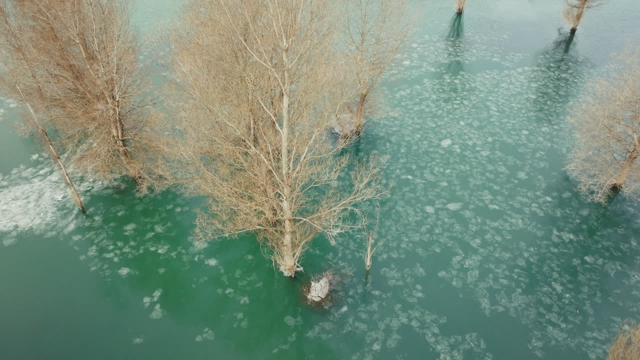 벌거벗은 나무가 있는 얼어붙은 호수