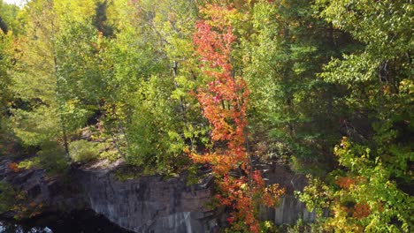 autumn sunny nature on reserve faunique la vérendrye in quebec, canada