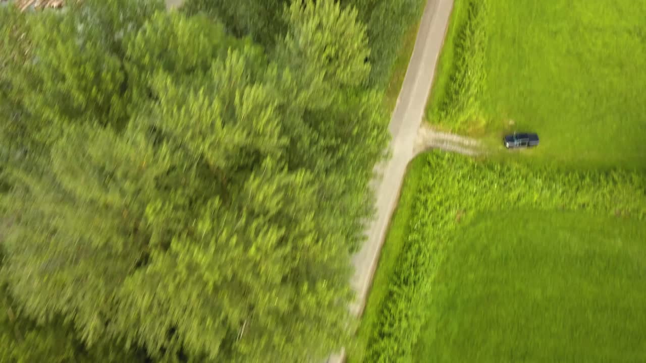 강 옆에 있는 나무의 조감도