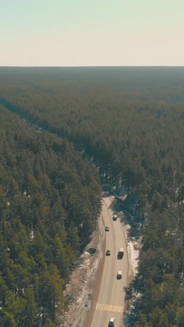 green endless pine tree forests surround asphalt road with driving automobiles on spring day upper view