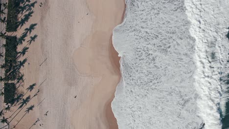 aerial top down view of large waves coming in on ipanema beach with shadow play of palm trees along the boulevard, a few people passing by and line streaks and patterns of vehicles in the sand