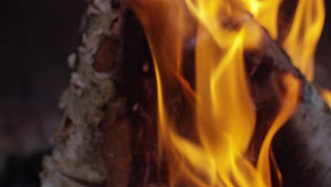 Burning-Logs-Slow-Motion-4K-01