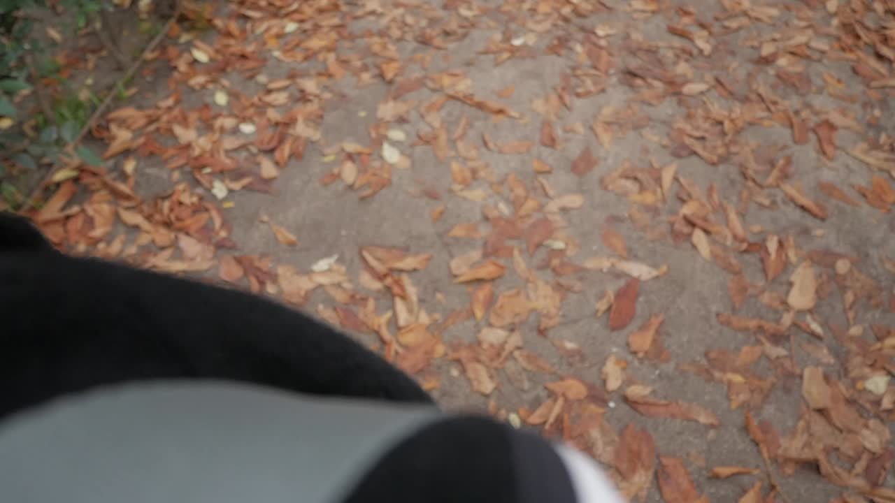 A person holding a small orange compass, outdoors with fallen autumn leaves on the ground