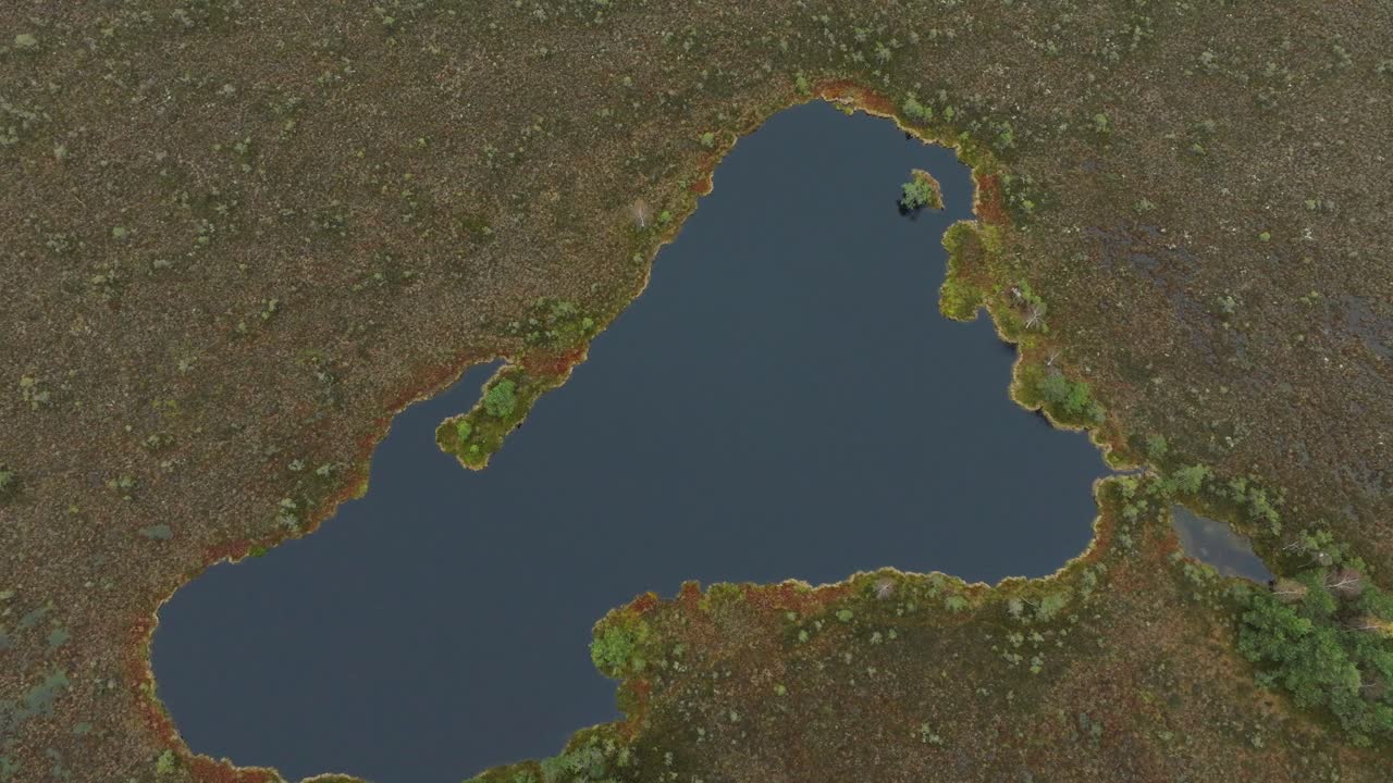 은 가을의 날에 호수와 함께 습지 풍경의 아름다운 공중 조류 시야, 듀니카 토프 습지, 작은 소나무, 넓은 각도 조류 시점 드론