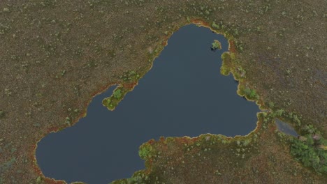 hermosa vista aérea de ojo de pájaro del paisaje de pantano con lagos en un día nublado de otoño, pantano de turba dunika, pequeños pinos, disparo de avión no tripulado de ojo de pajo de gran ángulo moviéndose hacia adelante