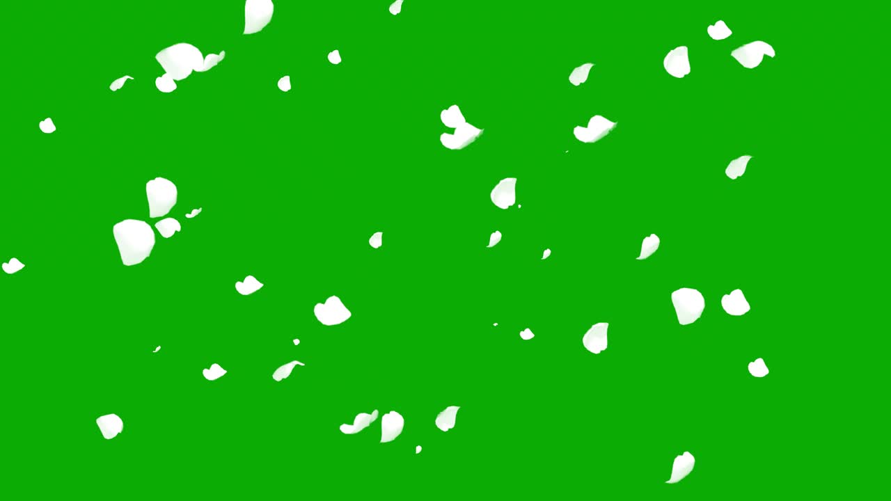 녹색 화면 배경으로  콘페티 입자 모션 그래픽