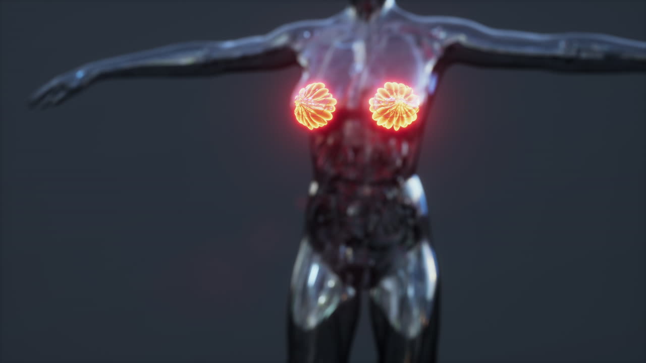 ciencia anatomía del cuerpo humano con brillo glándula mamaria