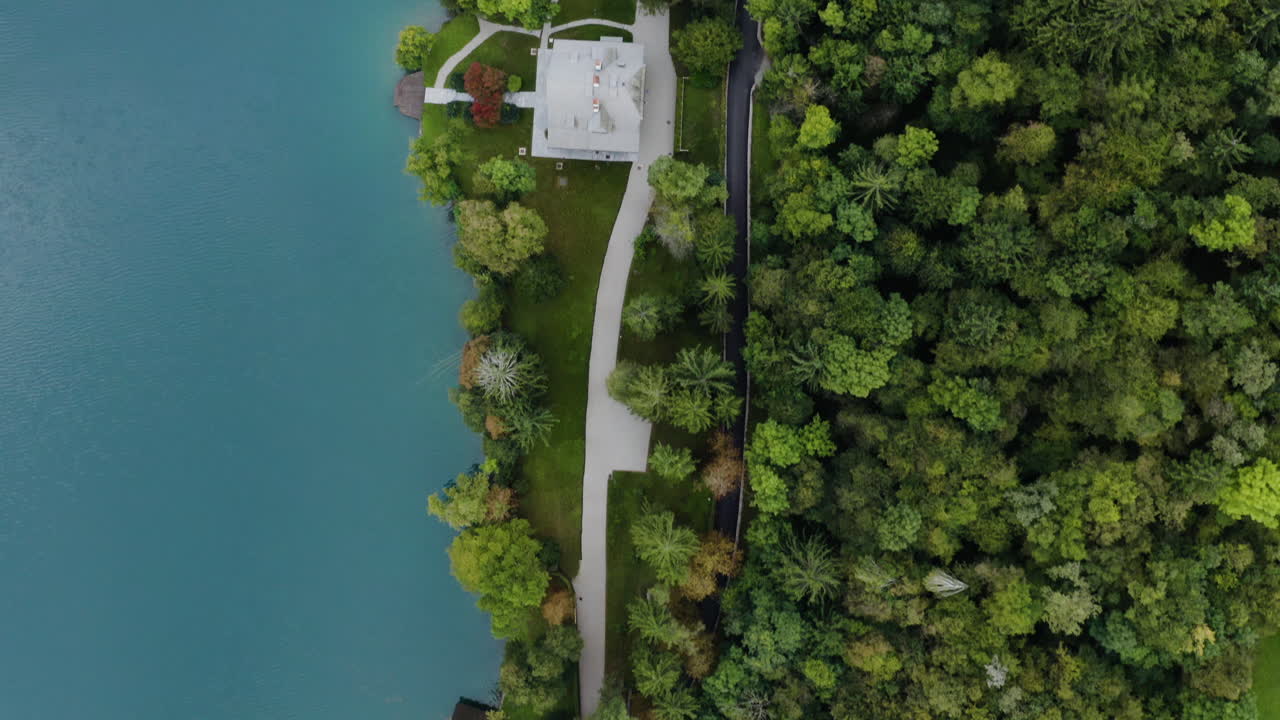 vista de pájaro sobre la exuberante vegetación verde y el agua turquesa del lago bled en eslovenia - tiro con drones