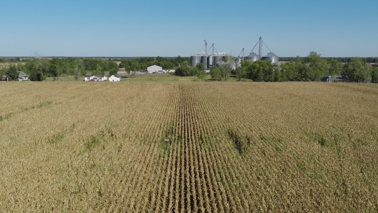Golden Fields Of Hassard Elevator Agricultural Service In Monroe City, Missouri, United States. Aerial Wide Shot