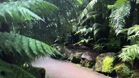 walking green botaical garden pathway