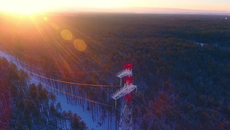 electricity pylon in forest aerial landscape. aerial electric line in forest