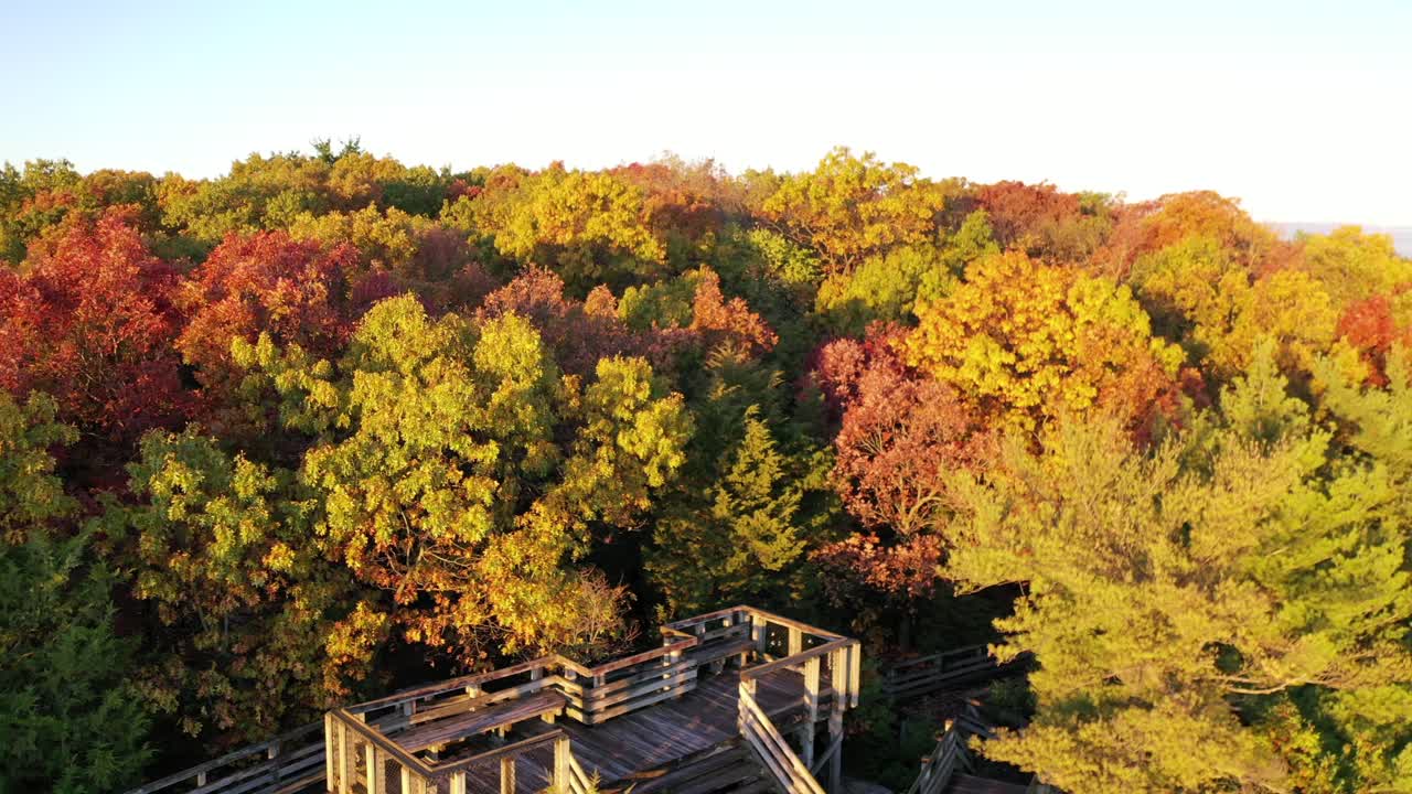 toma aérea panorámica de los paseos marítimos del acantilado de las águilas durante la temporada de otoño con las hojas cambiando de color