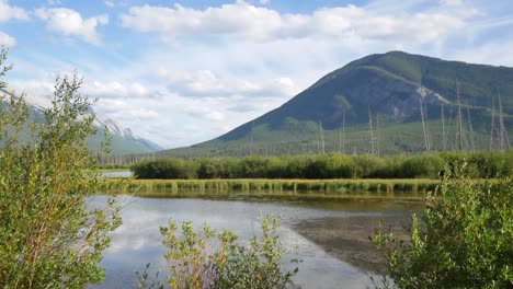 Landschaft-Schöner-Natürlicher-Blick-Auf-Zinnoberrote-Seen-Mit-Schönem-Gras-Und-Blumen-Im-Vordergrund-Und-Rockies-Mountain-Im-Hintergrund-Im-Banff-Nationalpark,-Alberta,-Kanada-Im-Sommersonnenschein-Tagsüber