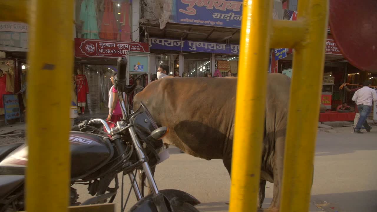 노란색 난간을 통해 보는 추적 샷