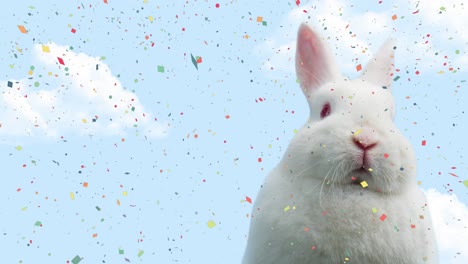 animation of colorful confetti falling over bunny