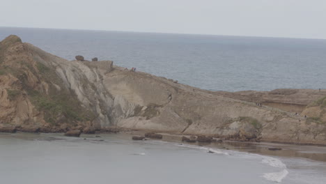 rock formation and tourists in castle point beach in new zealand