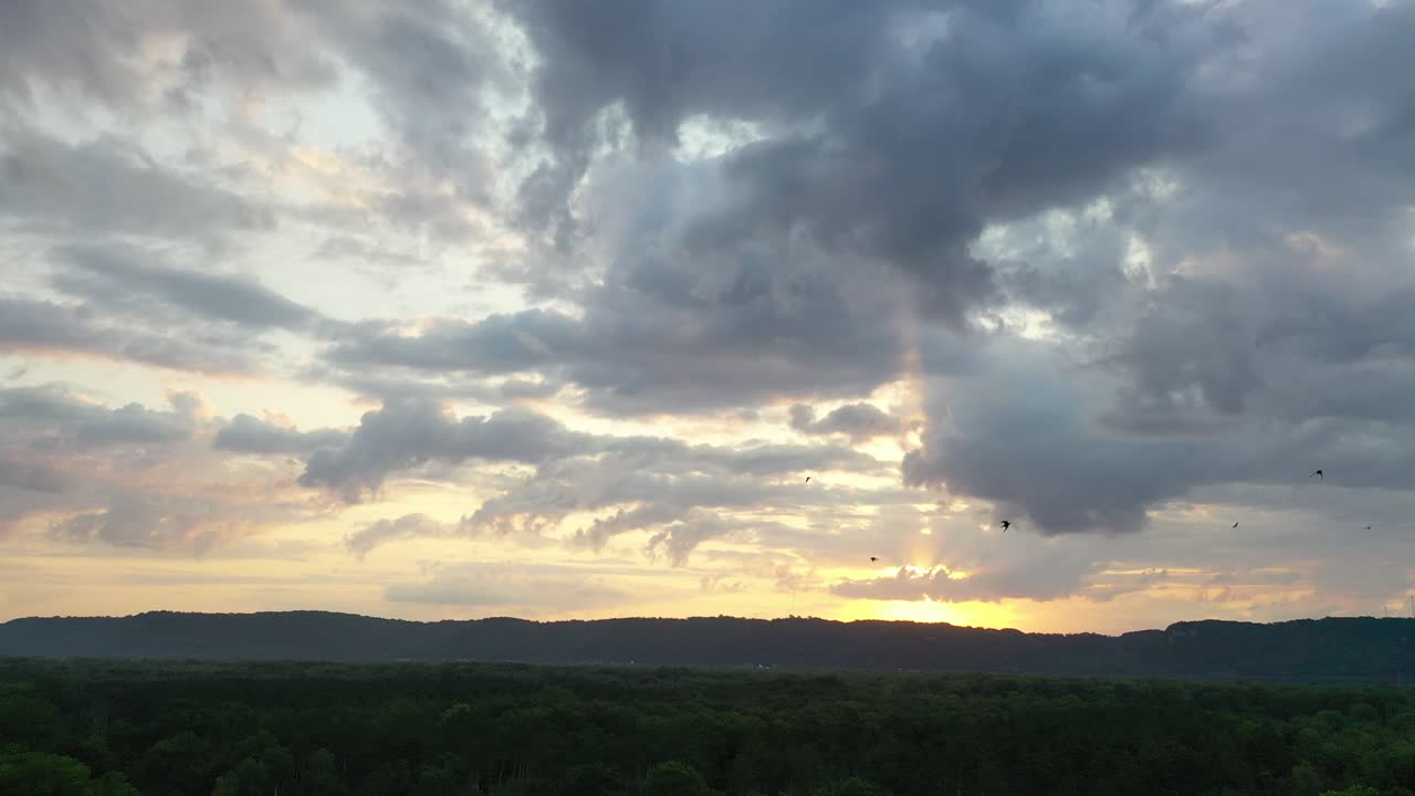 숲의 언덕 위에 해가 지는 것