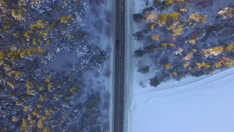 snowy forest road with car