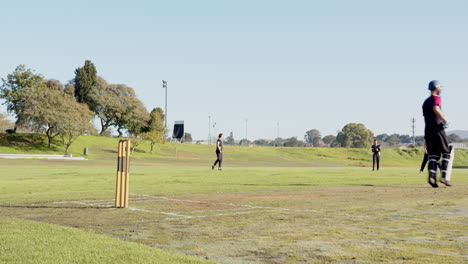 cricket players on field preparing for match under clear blue sky