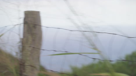 Slow-pan-across-a-wire-fence-with-the-pacific-ocean-I-the-background-out-of-focus