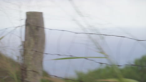 Panorámica-Lenta-A-Través-De-Una-Valla-De-Alambre-Con-El-Océano-Pacífico-I-El-Fondo-Fuera-De-Foco