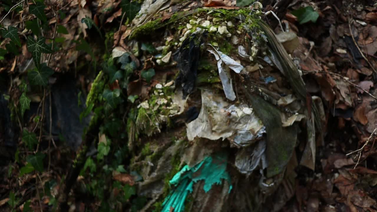 숲에 버려진 오래된 색 직물과 플라스틱, 환경 오염, 아래에서 위로 총을 닫습니다.