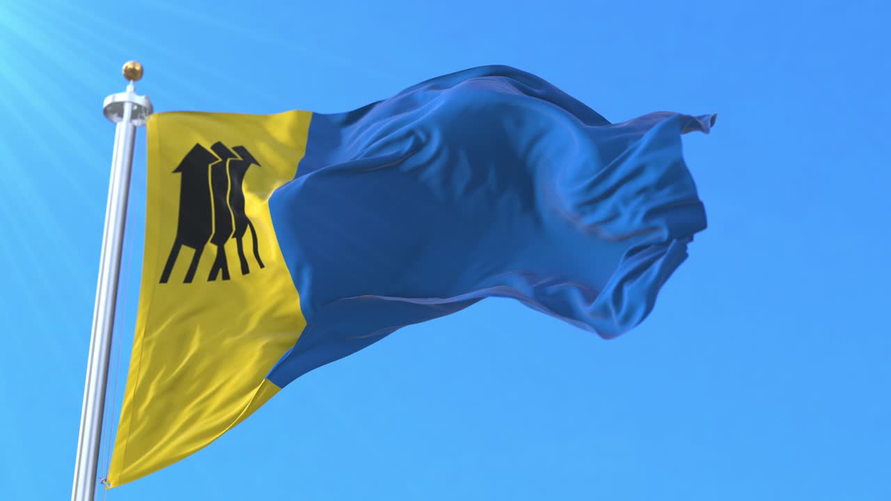 Porto Velho flag, Rondônia, Brazil. loop