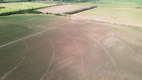 drone flying backwards over a swath, ruined wheat on a field, tornado outcome, usa