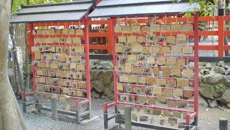 looking through a glass case at a bunch of chest nuts sitting in a hand woven basket lunch time in kyoto, japan close up 4k