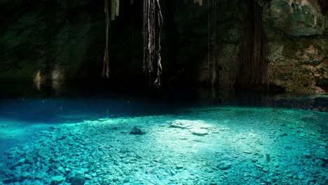 Cenote-Crystal-05