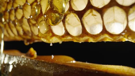 honeycomb with dripping honey
