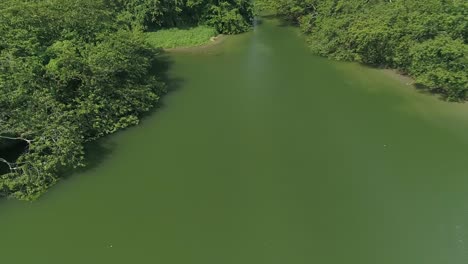 在多米尼加共和國的humedales del ozama國家公園的河水上飛翔的無人機