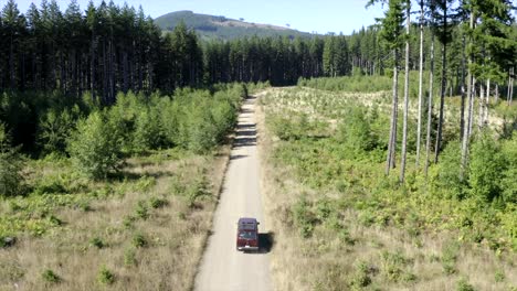 vw van vintage van driving through forest aerial view 4k drone